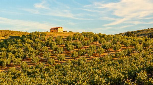 Guide économique pour stocker vos biens à moindre coût en Hérault