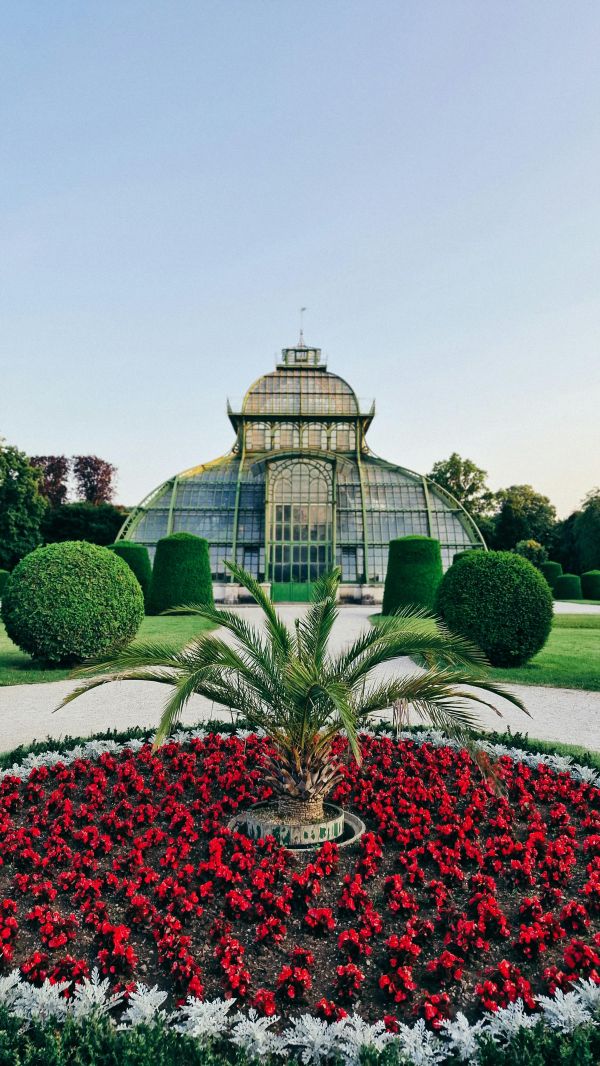 Serre de jardin en polycarbonate : guide expert pour un potager productif toute l’année !